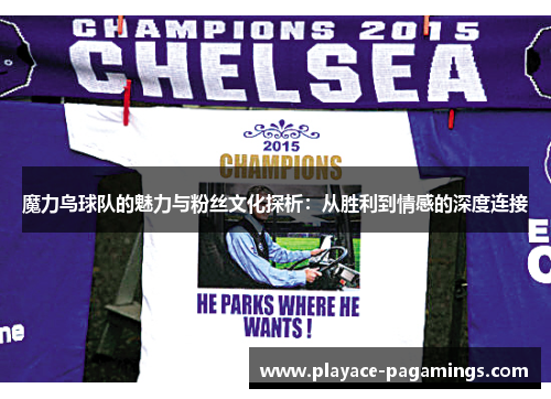 魔力鸟球队的魅力与粉丝文化探析：从胜利到情感的深度连接