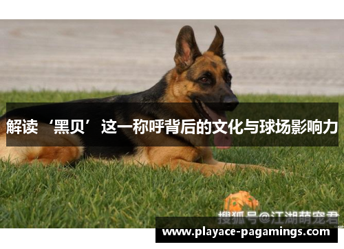 解读‘黑贝’这一称呼背后的文化与球场影响力