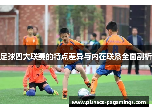足球四大联赛的特点差异与内在联系全面剖析