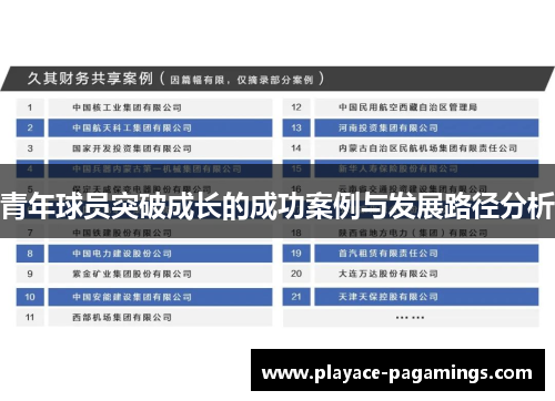 青年球员突破成长的成功案例与发展路径分析