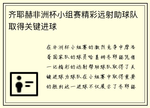 齐耶赫非洲杯小组赛精彩远射助球队取得关键进球