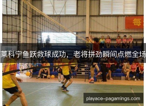 莱科宁鱼跃救球成功,老将拼劲瞬间点燃全场 莱科宁鱼跃救球成功,老将拼劲瞬间点燃全场