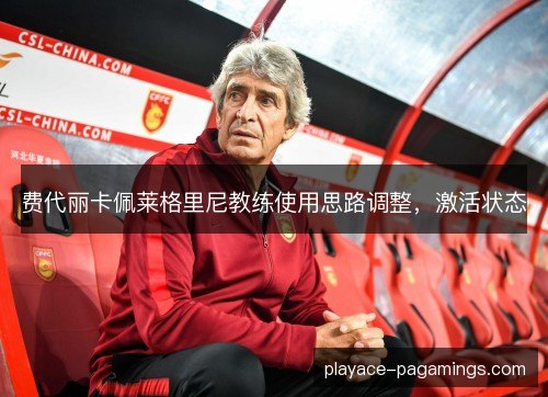 费代丽卡佩莱格里尼教练使用思路调整,激活状态 费代丽卡佩莱格里尼教练使用思路调整,激活状态